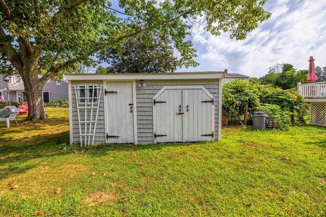 a view of backyard with potted plants and large tree