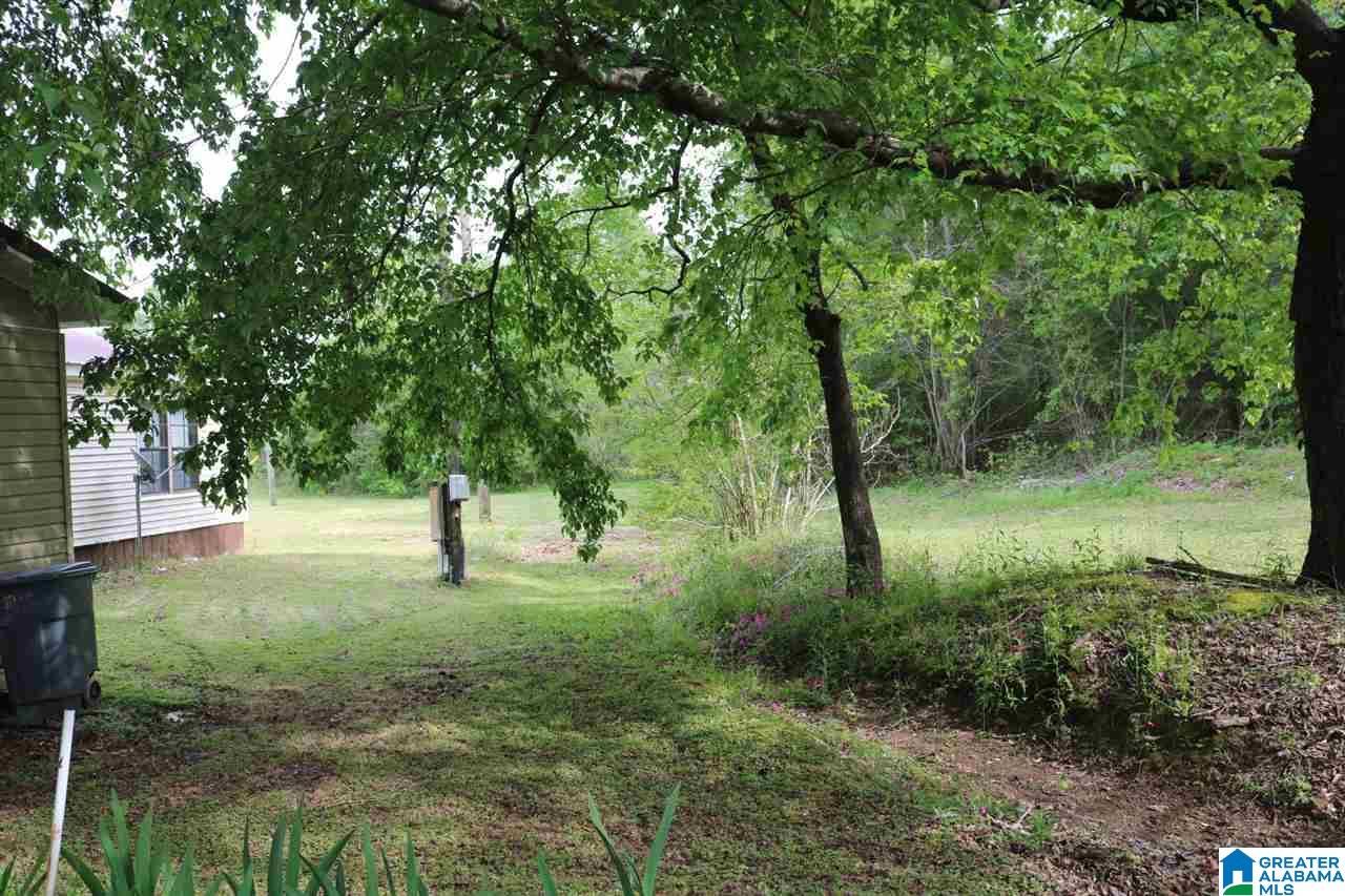 329 Toadvine Cemetery Road Bessemer, AL 35023 - Photo 7 of 22