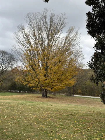 $3,695,000 | 3138 Richmond Road, Petersburg, TN 37144