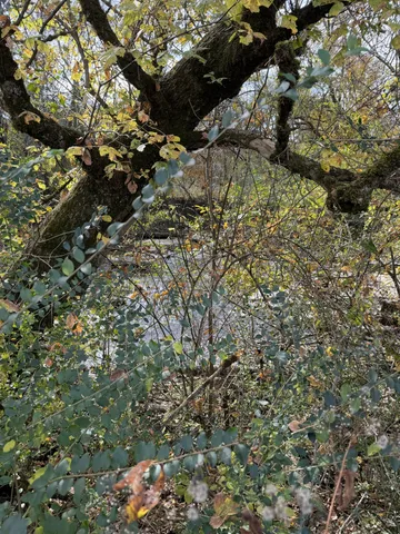 $3,695,000 | 3138 Richmond Road, Petersburg, TN 37144