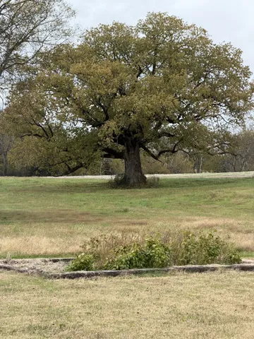 $3,695,000 | 3138 Richmond Road, Petersburg, TN 37144