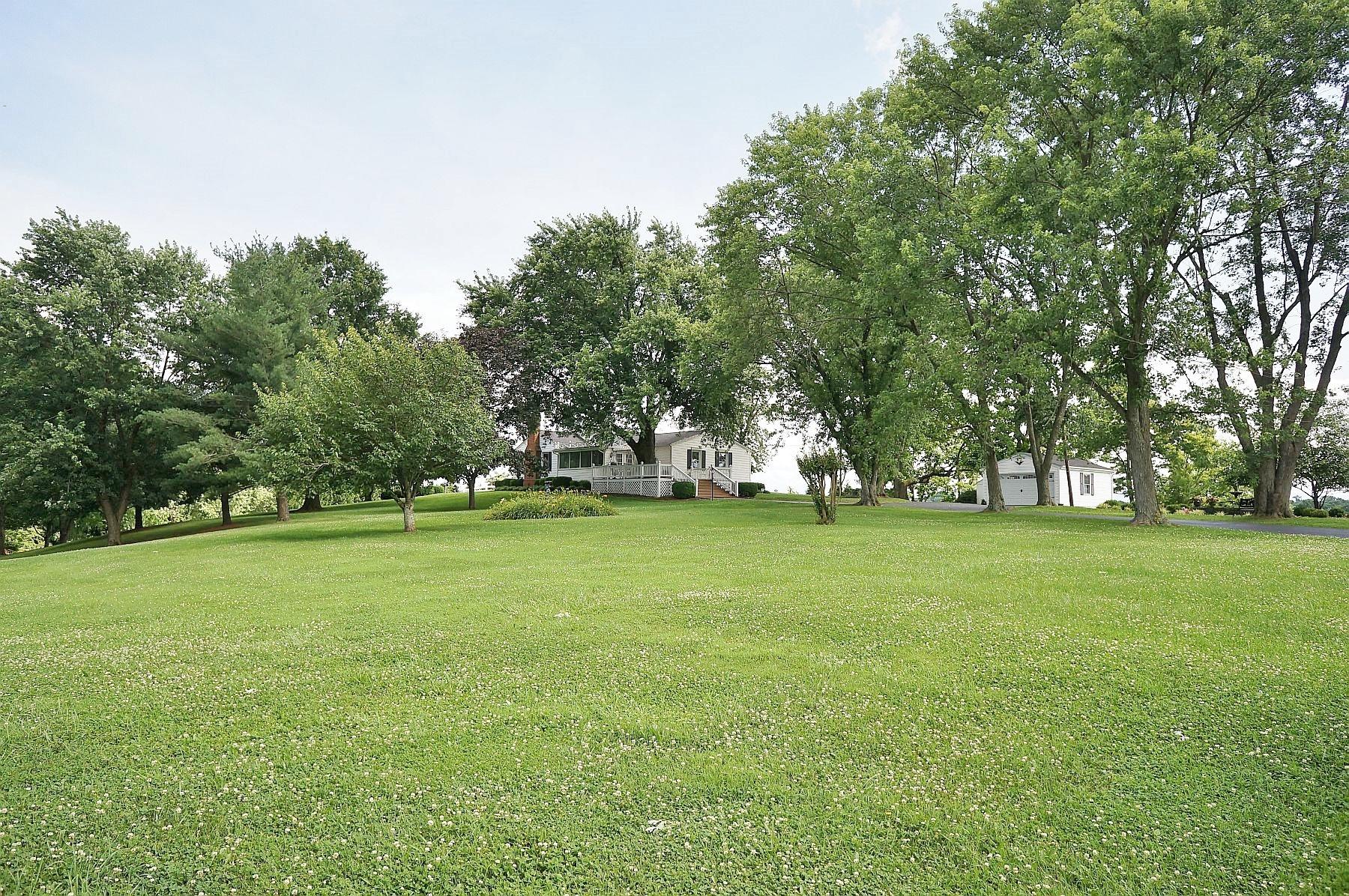 7920 Alpine Road Roanoke, VA 24019 - Photo 44 of 46 Yard 4