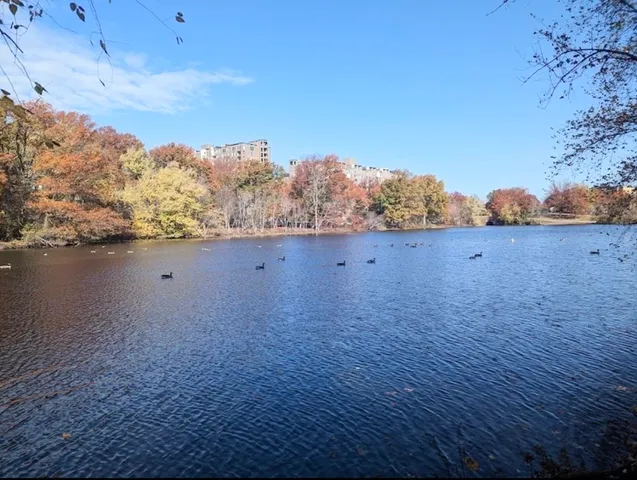 a view of room and mountain view
