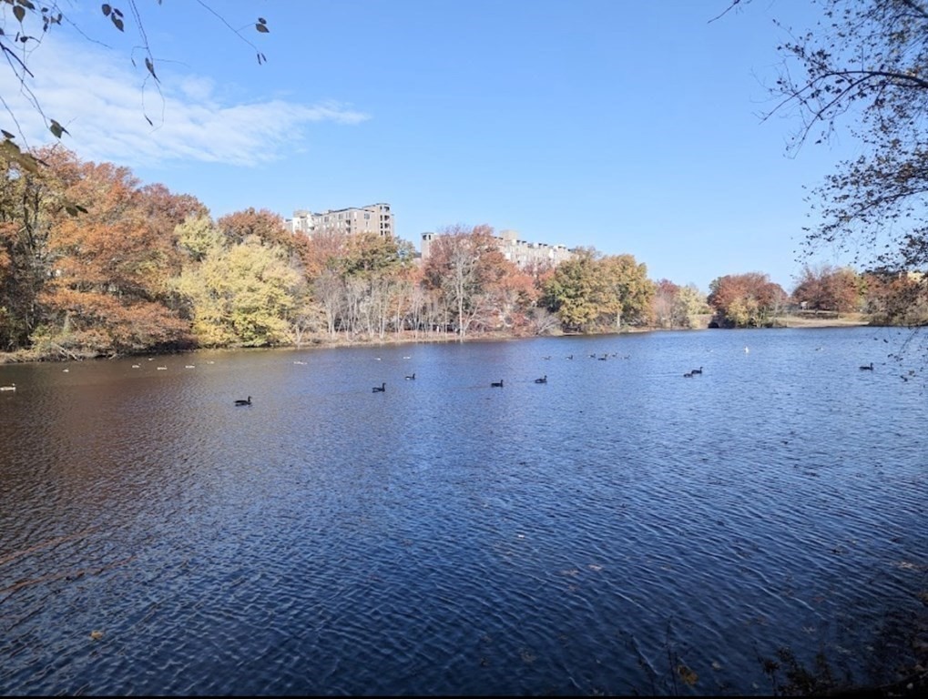 8 Juniper Street, Unit 22 Brookline, MA 02445 - Photo 12 of 12