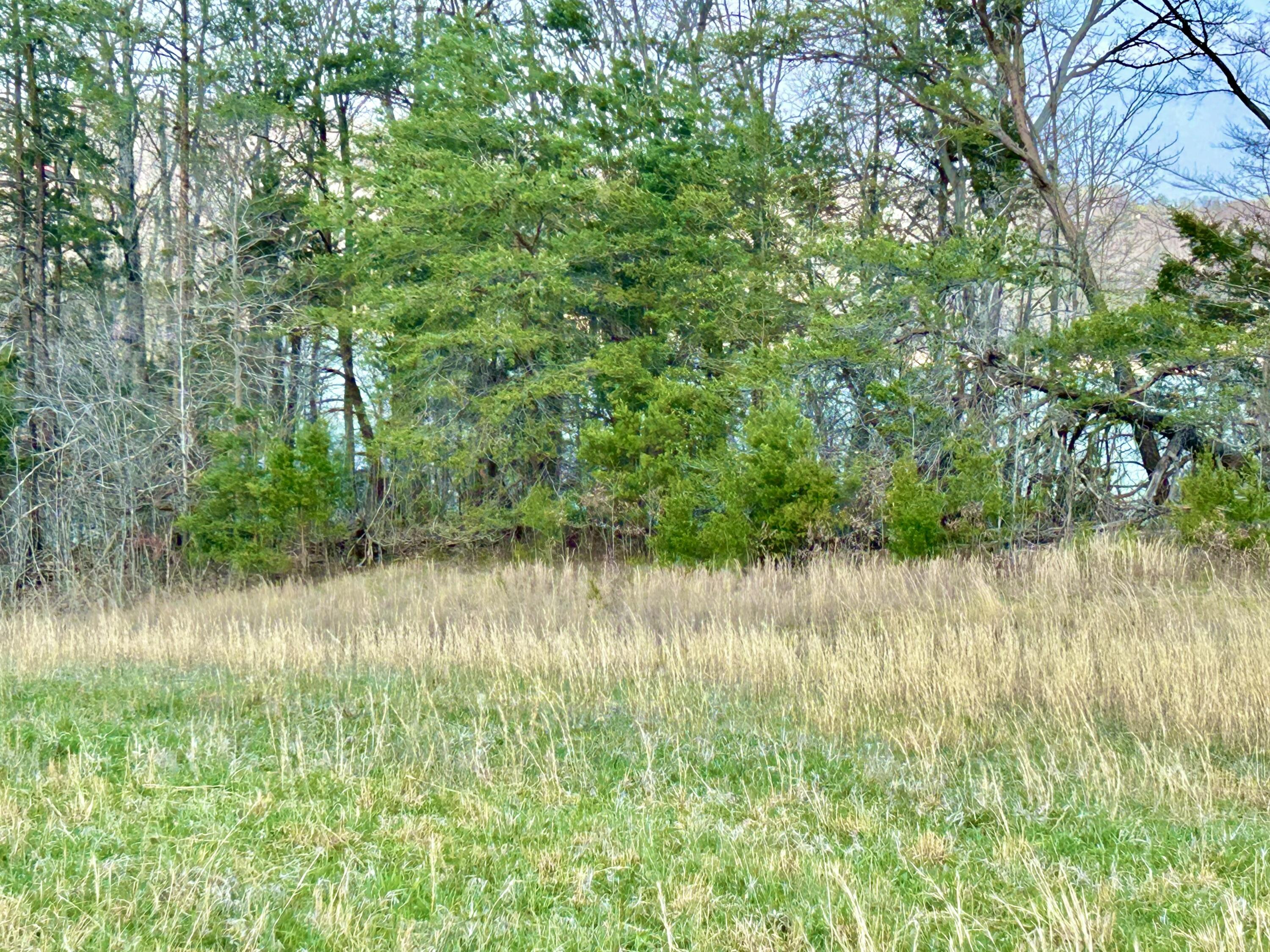 9999 Acreyville Road Alpha, KY 42603 - Photo 6 of 14 IMG_5027