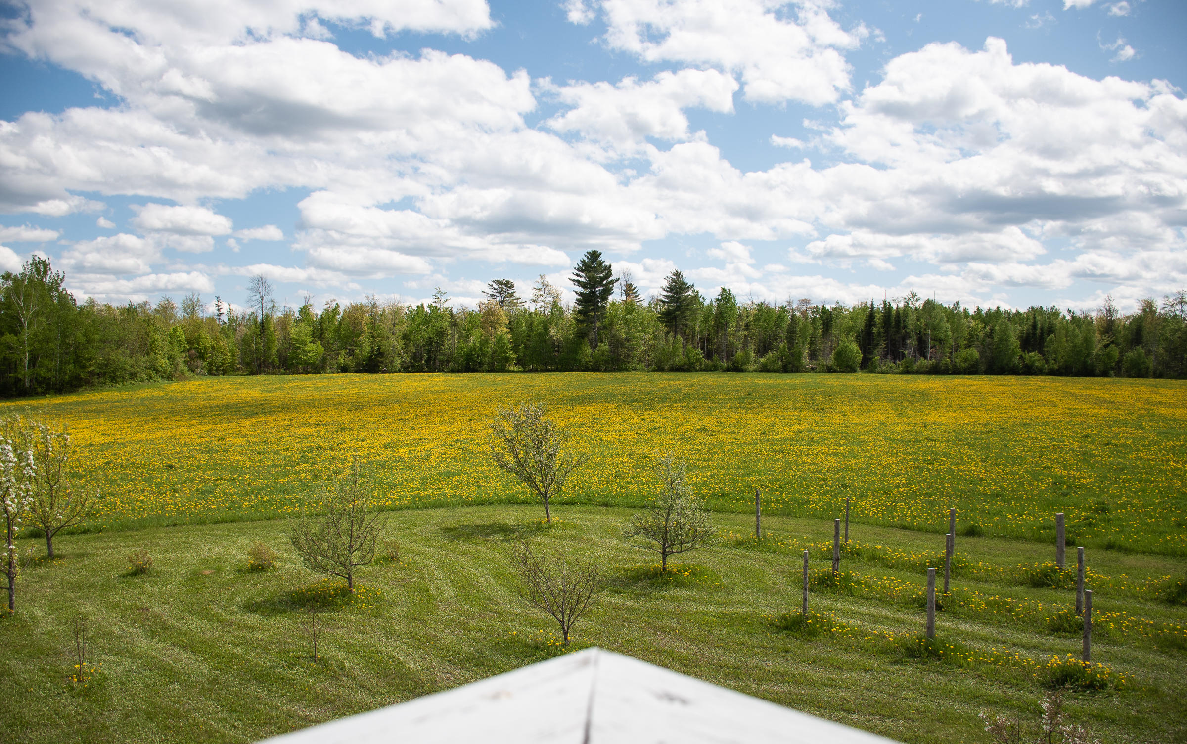 210 Lycette Road Amity, ME 04471 - Photo 65 of 90 210Lycette-64