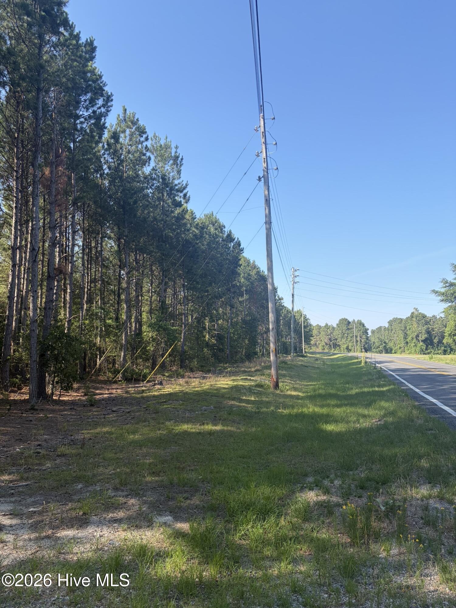 Tbd Jones Spring Church Road Ellerbe, NC 28338 - Photo 3 of 29