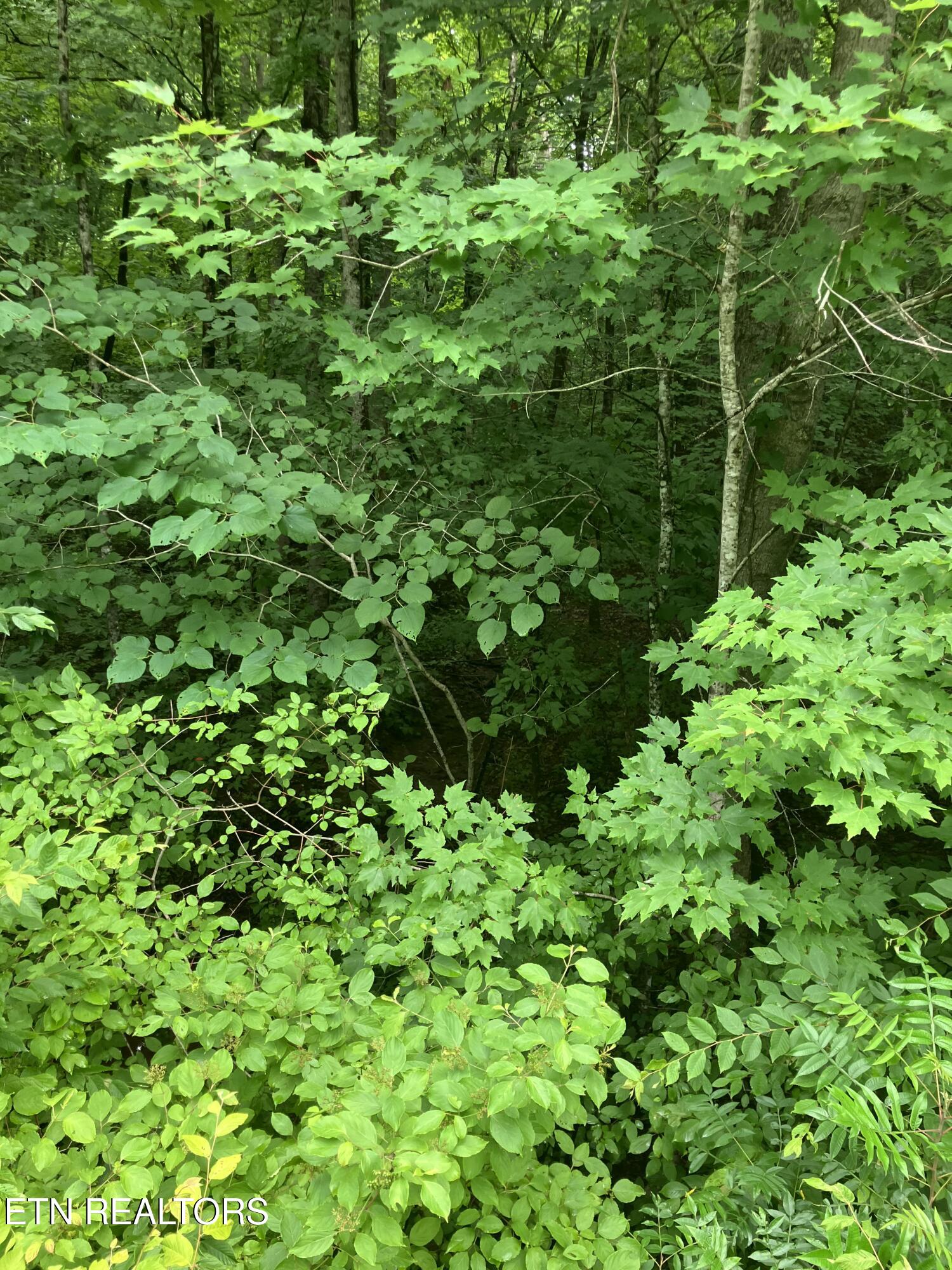 4 3 Point Road Vonore, TN 37885 - Photo 11 of 12 Tract 4-3 Point Rd-8