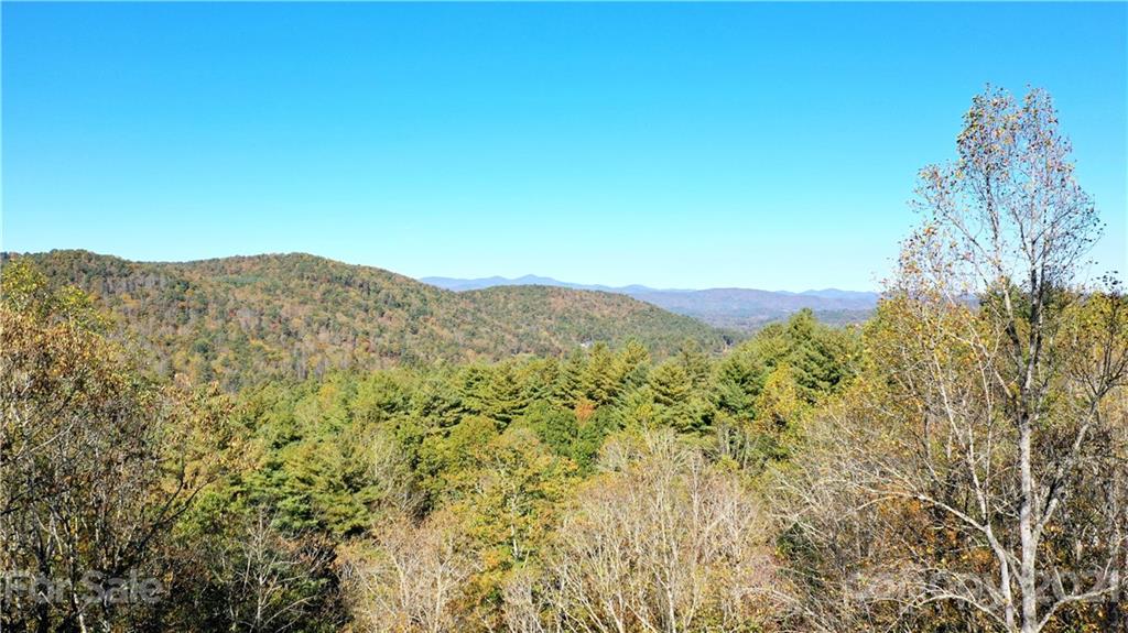 Lot 8-9-11 Kanuga Ridge Road Hendersonville, NC 28739 - Photo 3 of 7 Gallery Image 3