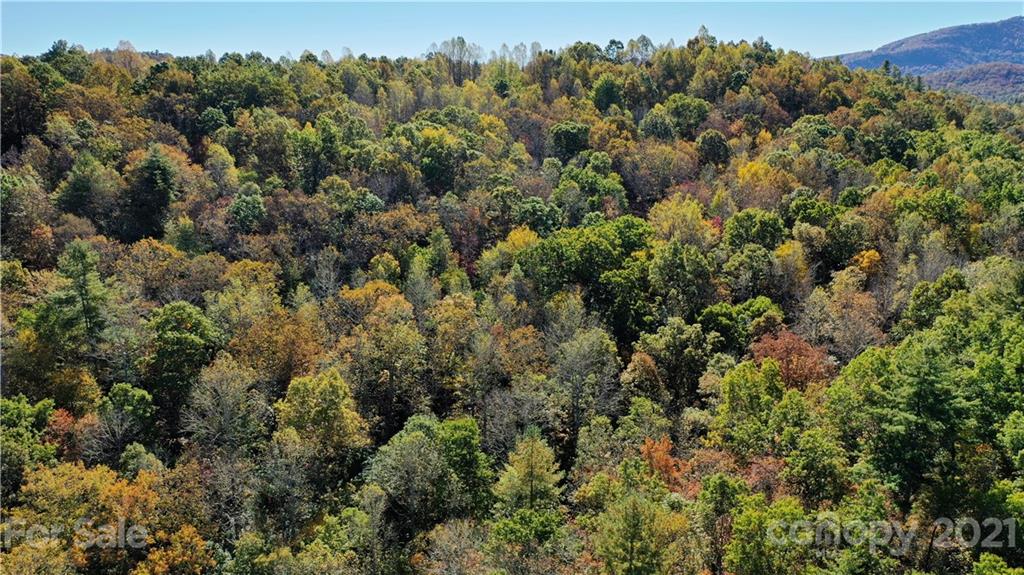 Lot 8-9-11 Kanuga Ridge Road Hendersonville, NC 28739 - Photo 4 of 7 Gallery Image 4