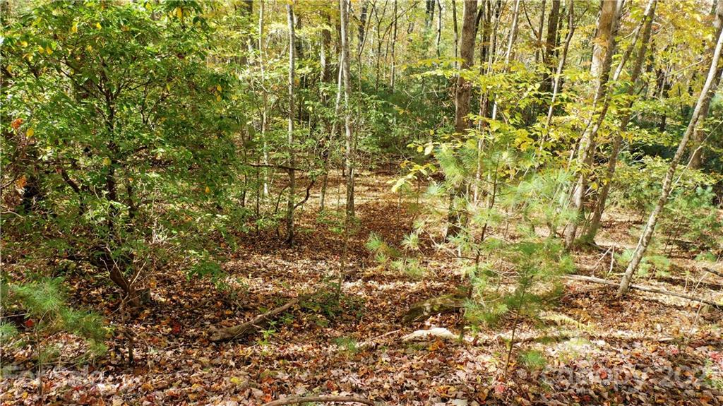 Lot 8-9-11 Kanuga Ridge Road Hendersonville, NC 28739 - Photo 5 of 7 Gallery Image 5