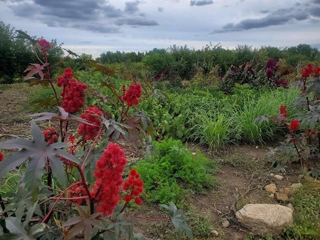 4160 Jackson Street Oshkosh, WI 54901 - Photo 4 of 14