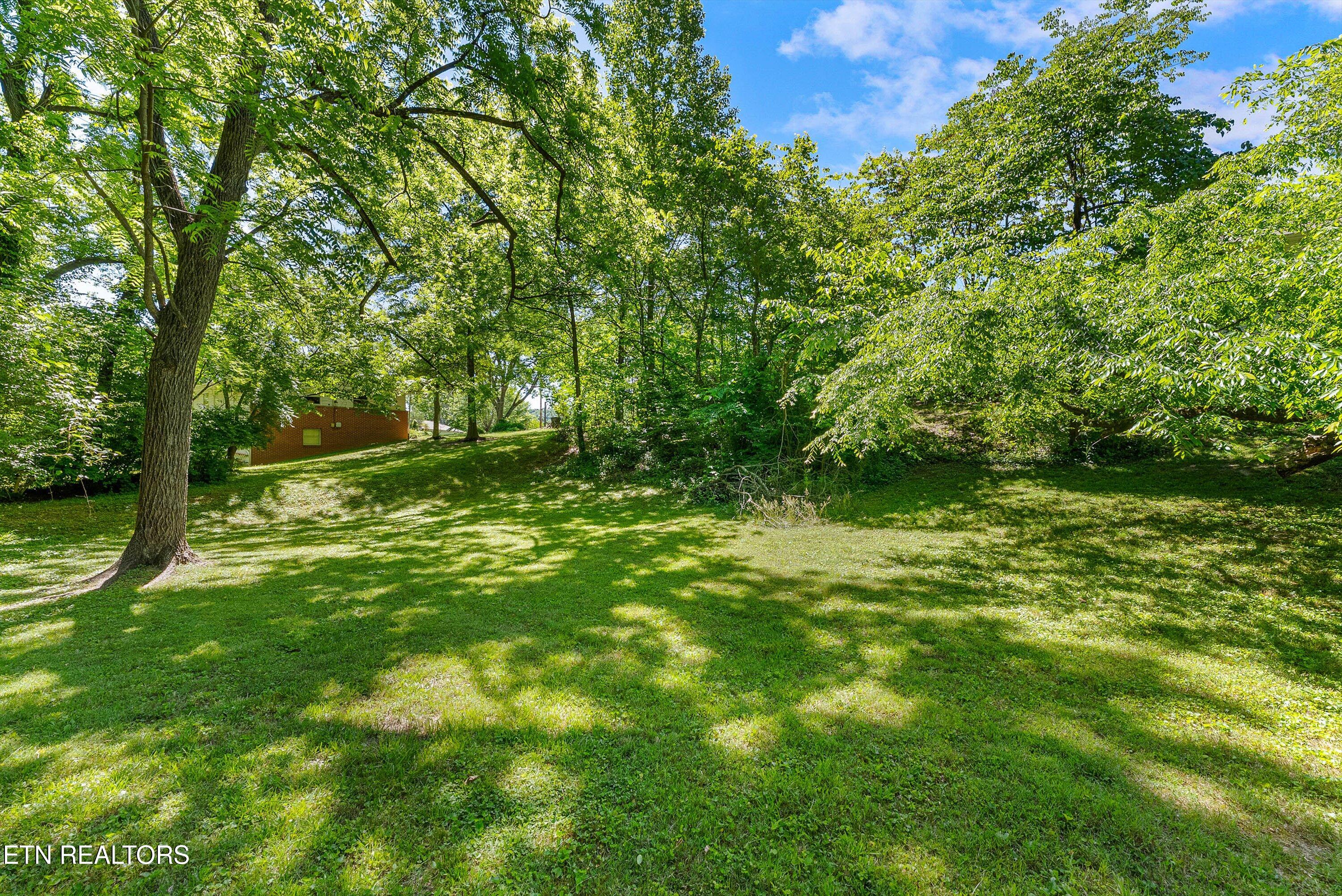 103 Loyola Lane Oak Ridge, TN 37830 - Photo 35 of 36 36-Backyard A6