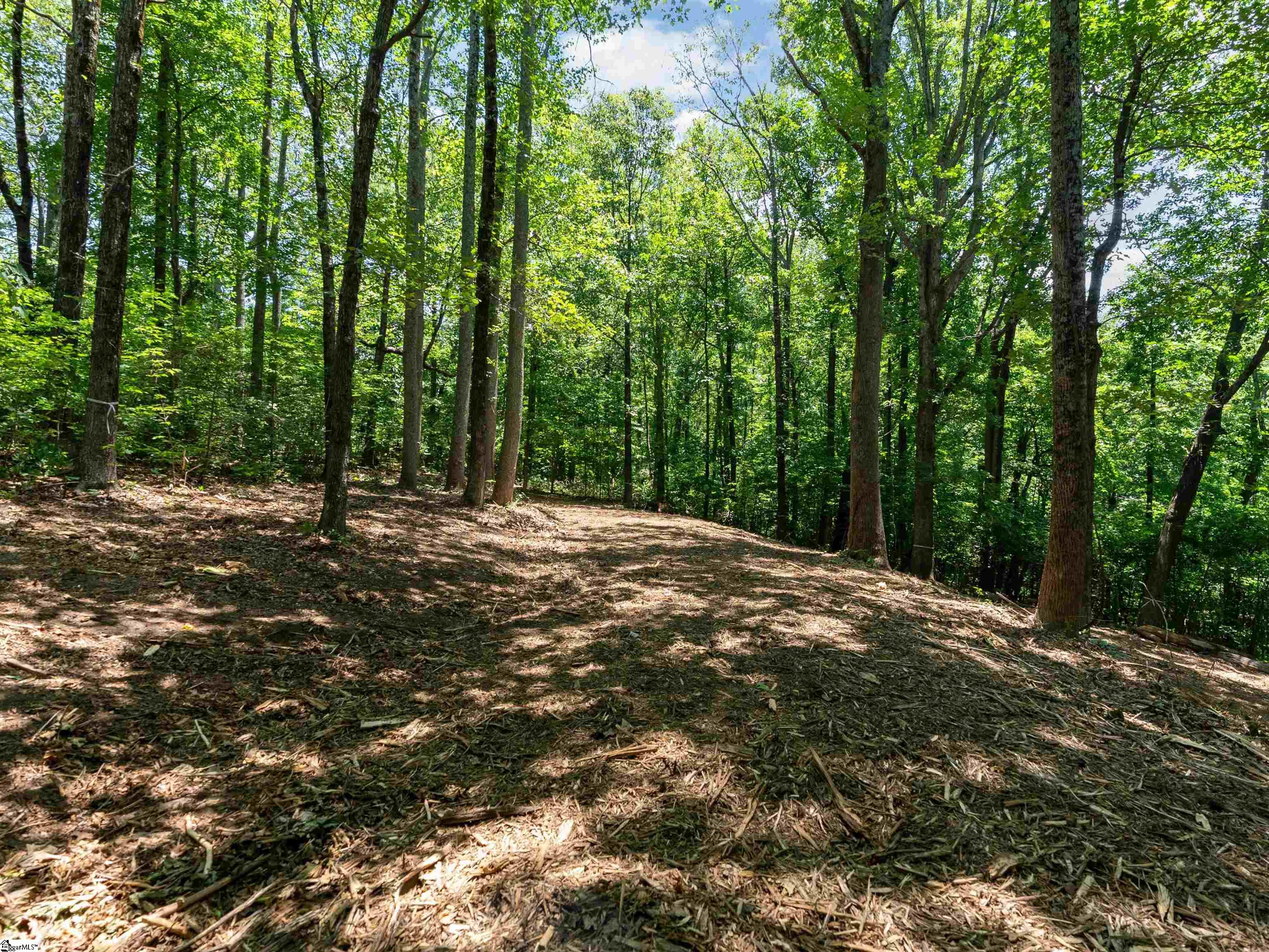 Lot 22 Plumley Summit Road Landrum, SC 29356 - Photo 18 of 27