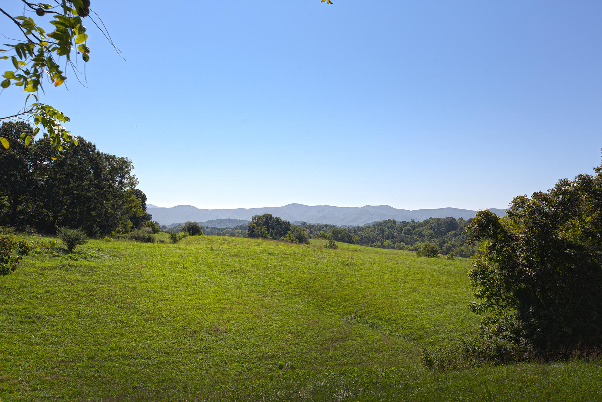 1578 Oak Ridge Road Buchanan, VA 24066 - Photo 30 of 40 Mountain views