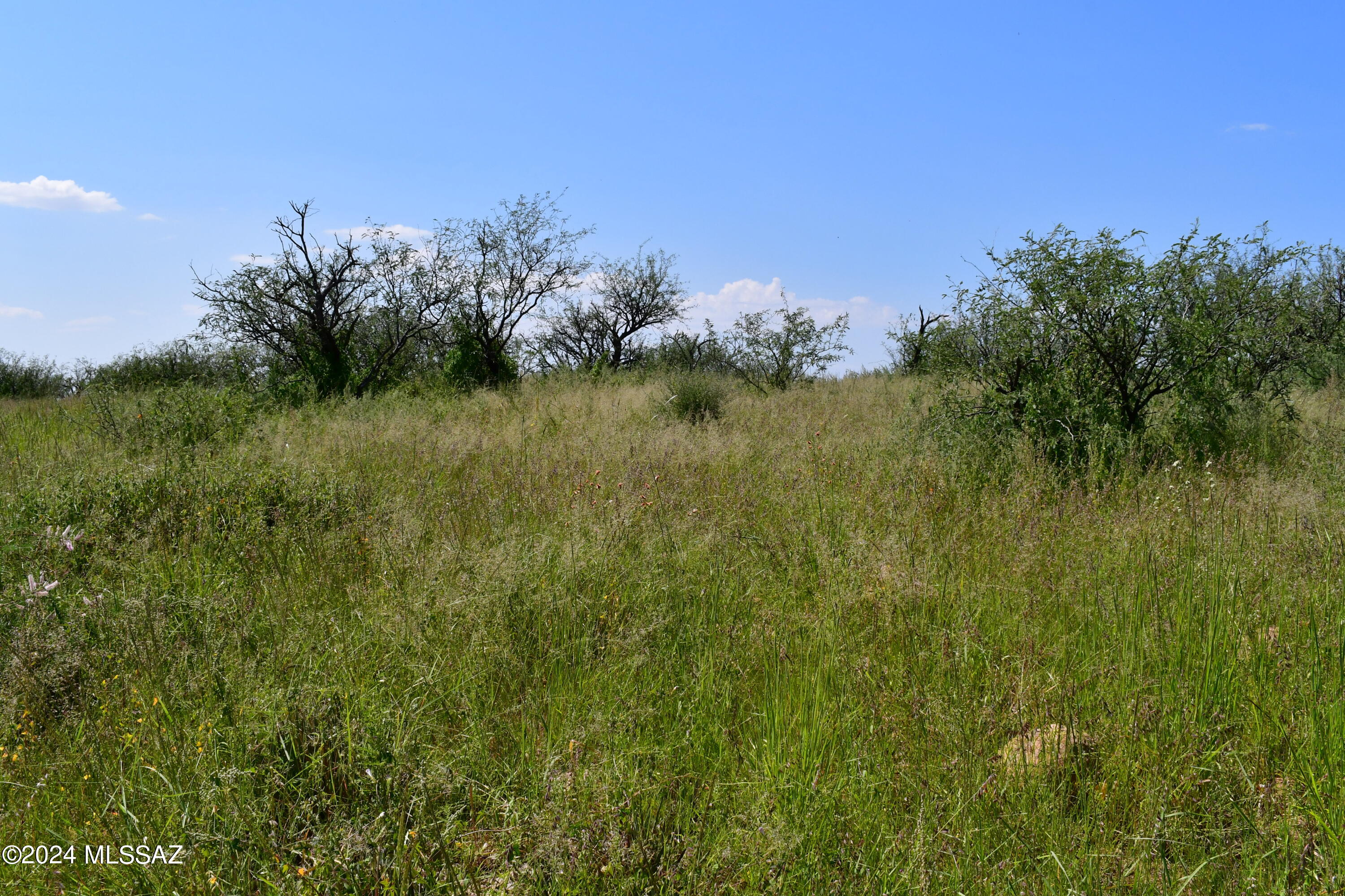 Tbd Tbd Mesquite Trail, Unit 132 Rio Rico, AZ 85648 - Photo 19 of 23