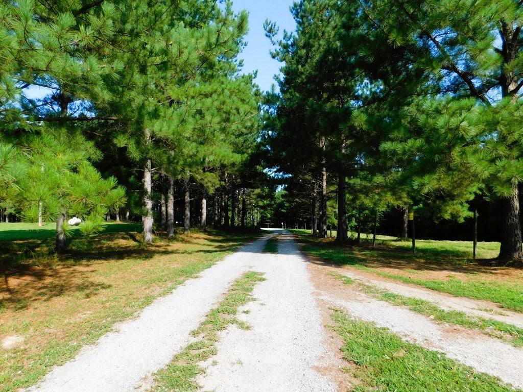 3152 Beulah Road Nathalie, VA 24577 - Photo 5 of 75 Entrance road to Country Paradise