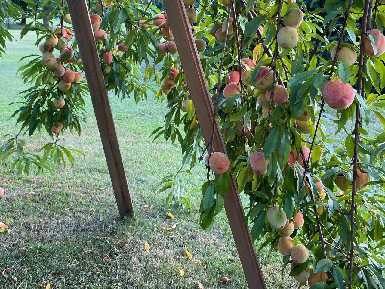 44 Drake Woods Road Bristol, VT 05443 - Photo 63 of 70