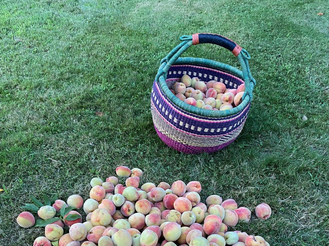 44 Drake Woods Road Bristol, VT 05443 - Photo 64 of 70