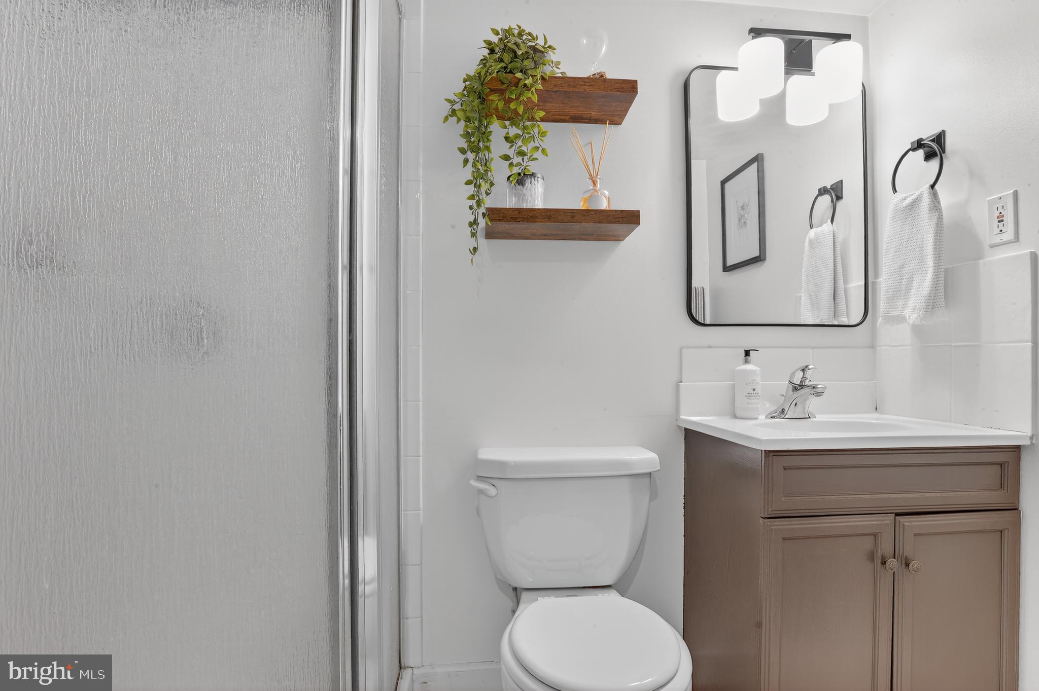 227 Overbrook Road Baltimore, MD 21212 - Photo 20 of 29 Basement Full Bath