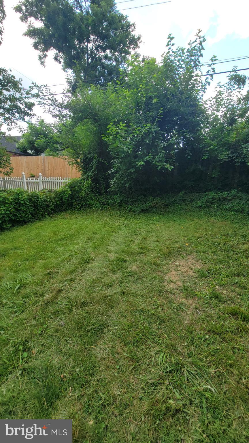 5105 Plymouth Road Baltimore, MD 21214 - Photo 3 of 29 Lush green yard with vibrant foliage.