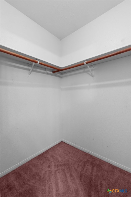 3391 Lois Lane Kempner, TX 76539 - Photo 27 of 35 a view of a room with shelf on the wall