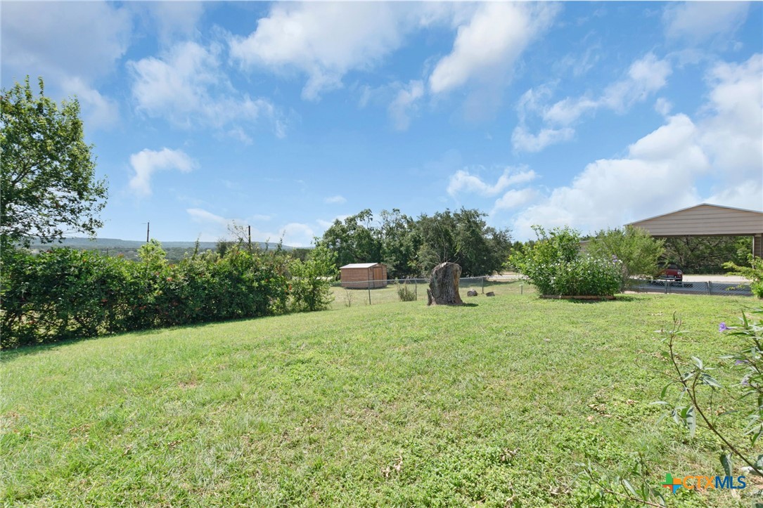 3391 Lois Lane Kempner, TX 76539 - Photo 8 of 35 a backyard of a house with lots of green space