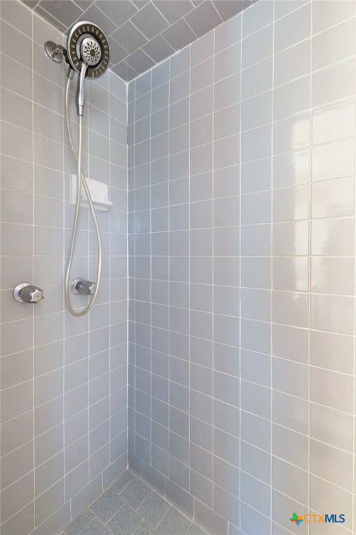 3391 Lois Lane Kempner, TX 76539 - Photo 10 of 35 a bathroom with a shower