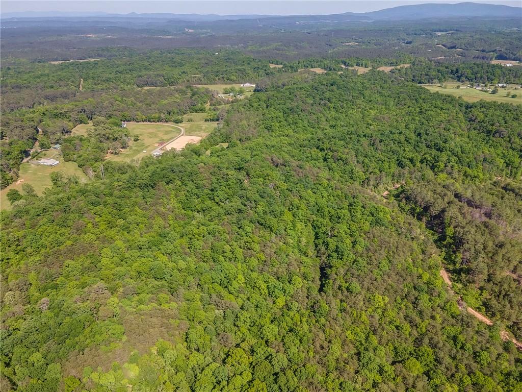 410 Pine Hill Road Southeast Rydal, GA 30171 - Photo 27 of 27