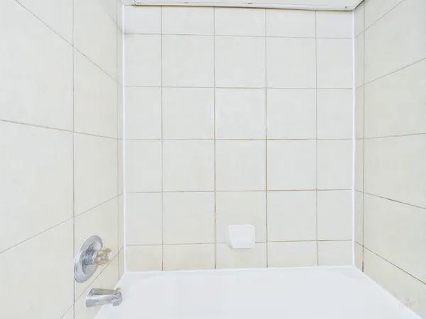 a bathroom with a toilet and a bathtub