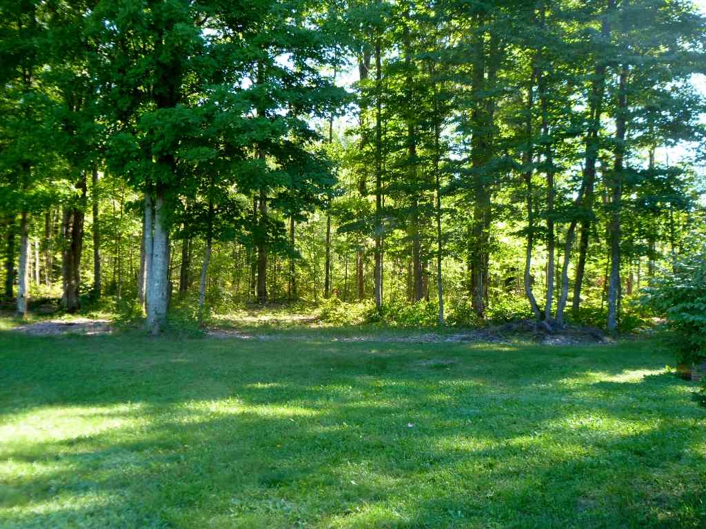 14699 Homestead Road Thompsonville, MI 49683 - Photo 5 of 28 1823310-4.JPG