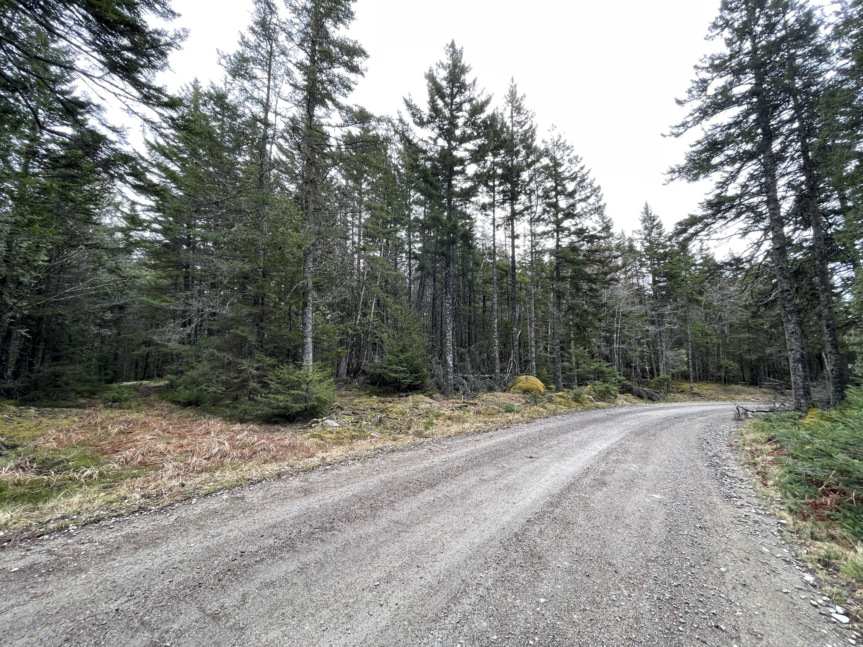 0 Ripley Neck Road Harrington, ME 04643 - Photo 2 of 3 IMG-1100