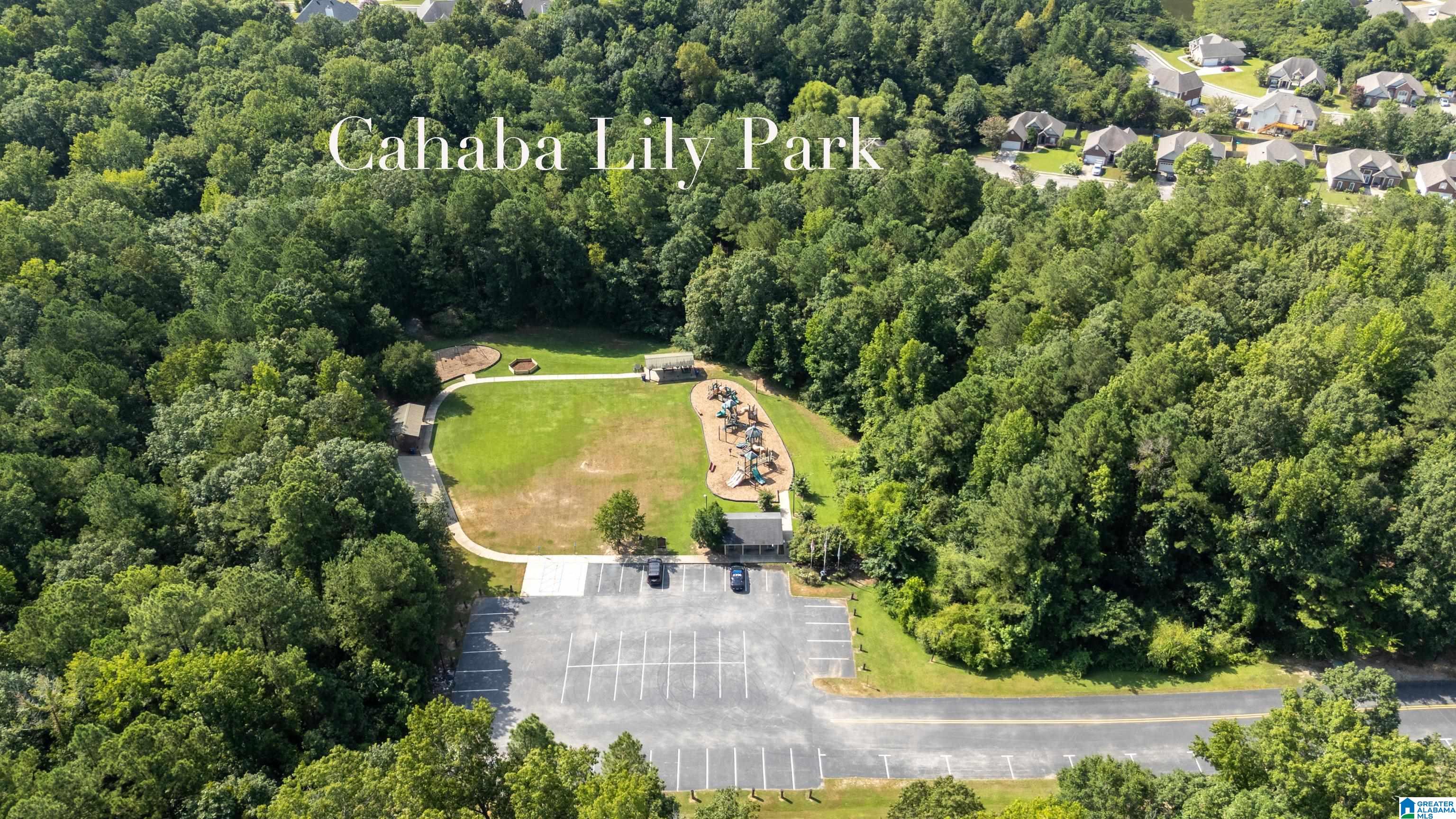 1019 Crestview Ridge Helena, AL 35080 - Photo 53 of 60