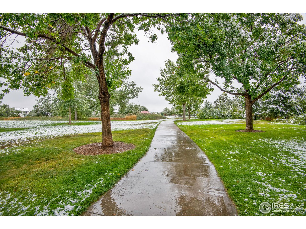 3767 Kentford Road Fort Collins, CO 80525 - Photo 32 of 32 Gallery Image 32