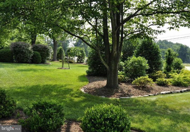 1325 Beulah Road Vienna, VA 22182 - Photo 3 of 30 Lush Landscaping