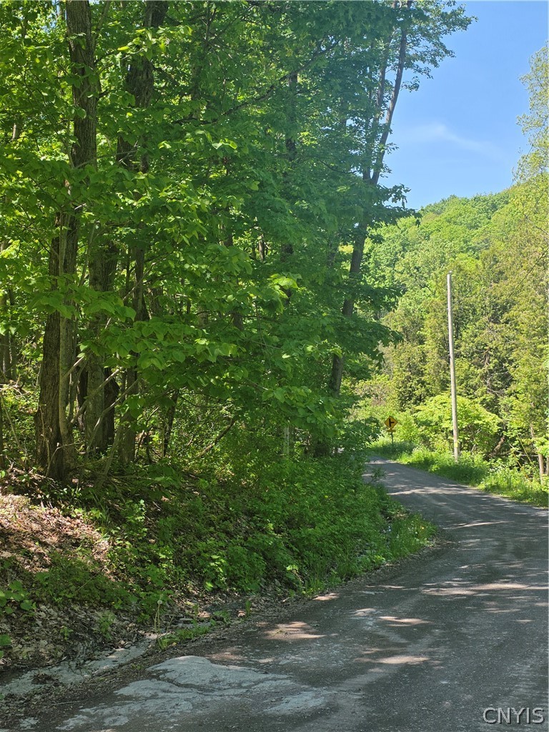 Old State Road Carthage, NY 13619 - Photo 20 of 35