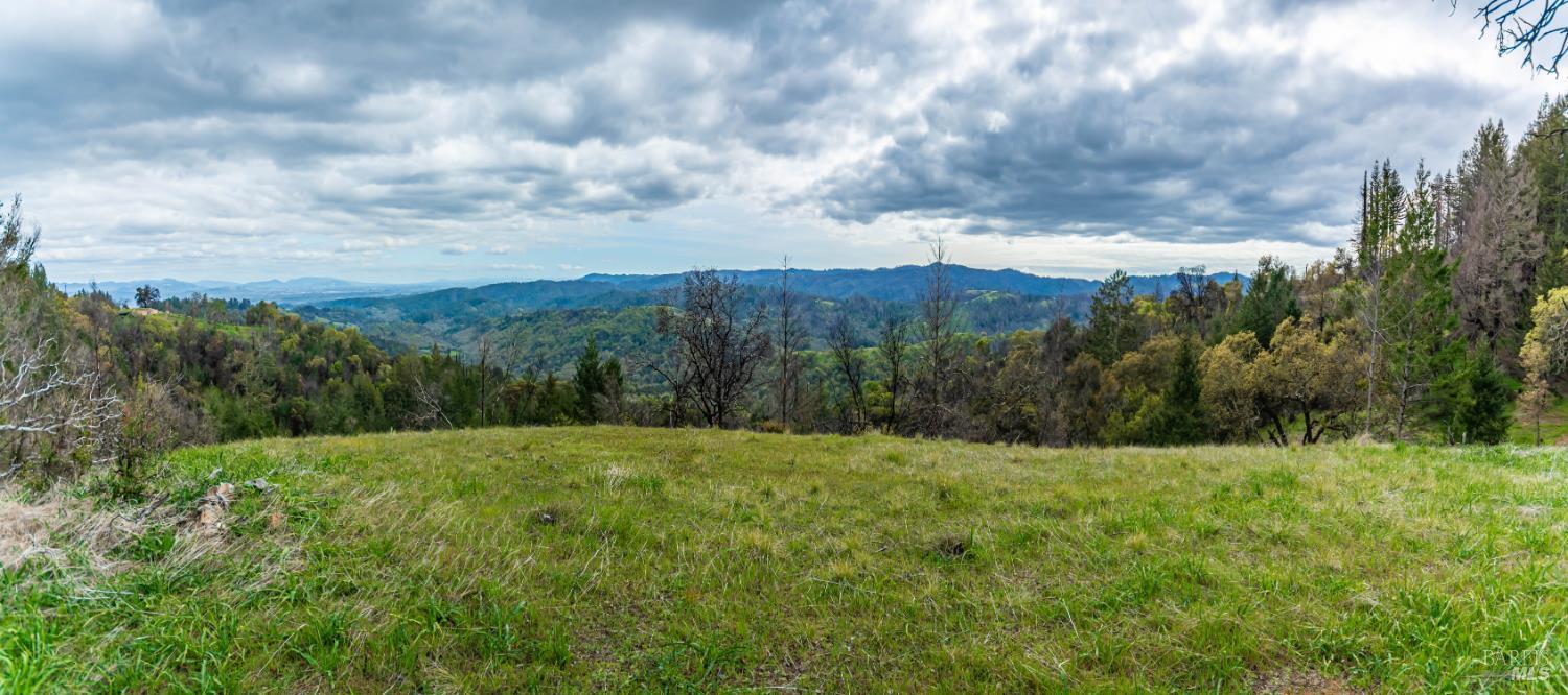 1401 Big Ridge Road Healdsburg, CA 95448 - Photo 55 of 86