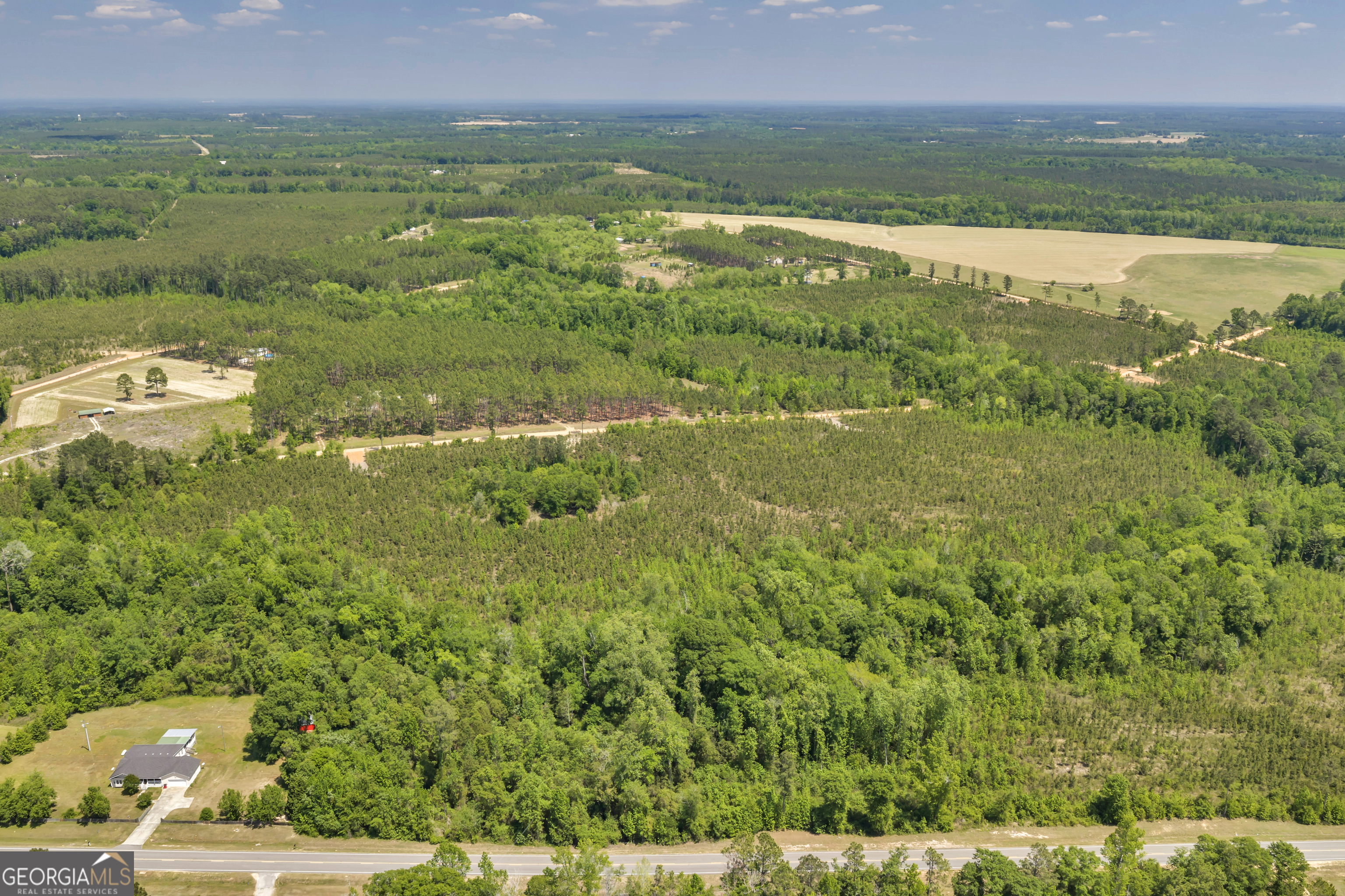 1215 State Rte 126 Cadwell, GA 31009 - Photo 2 of 7