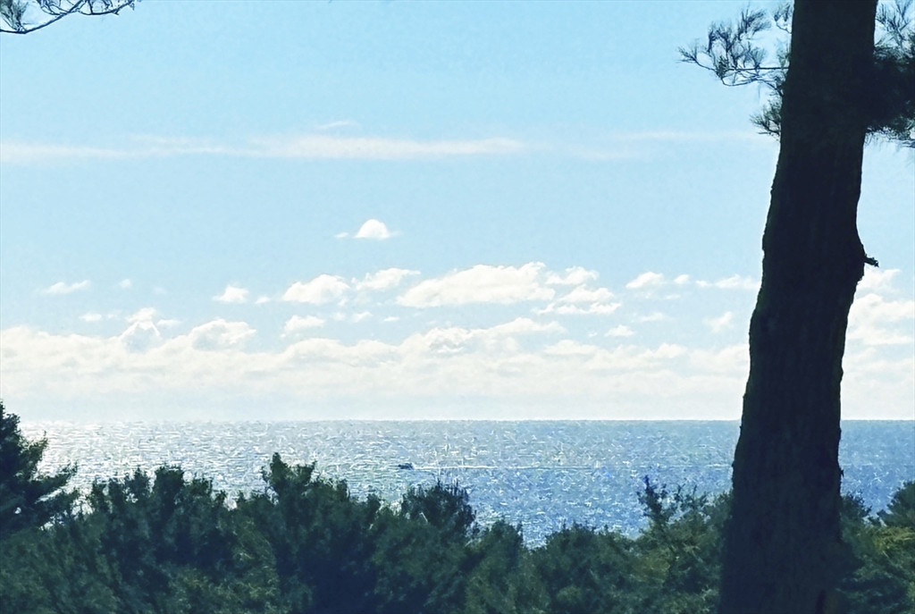 5 Kings Way Manchester, MA 01944 - Photo 15 of 39