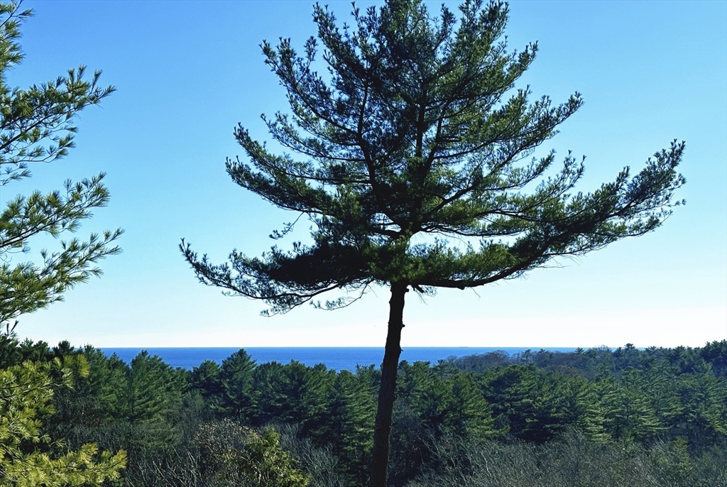 5 Kings Way Manchester, MA 01944 - Photo 17 of 39