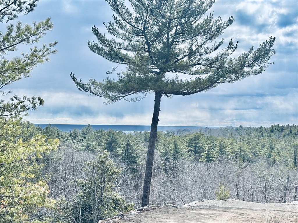 5 Kings Way Manchester, MA 01944 - Photo 20 of 39