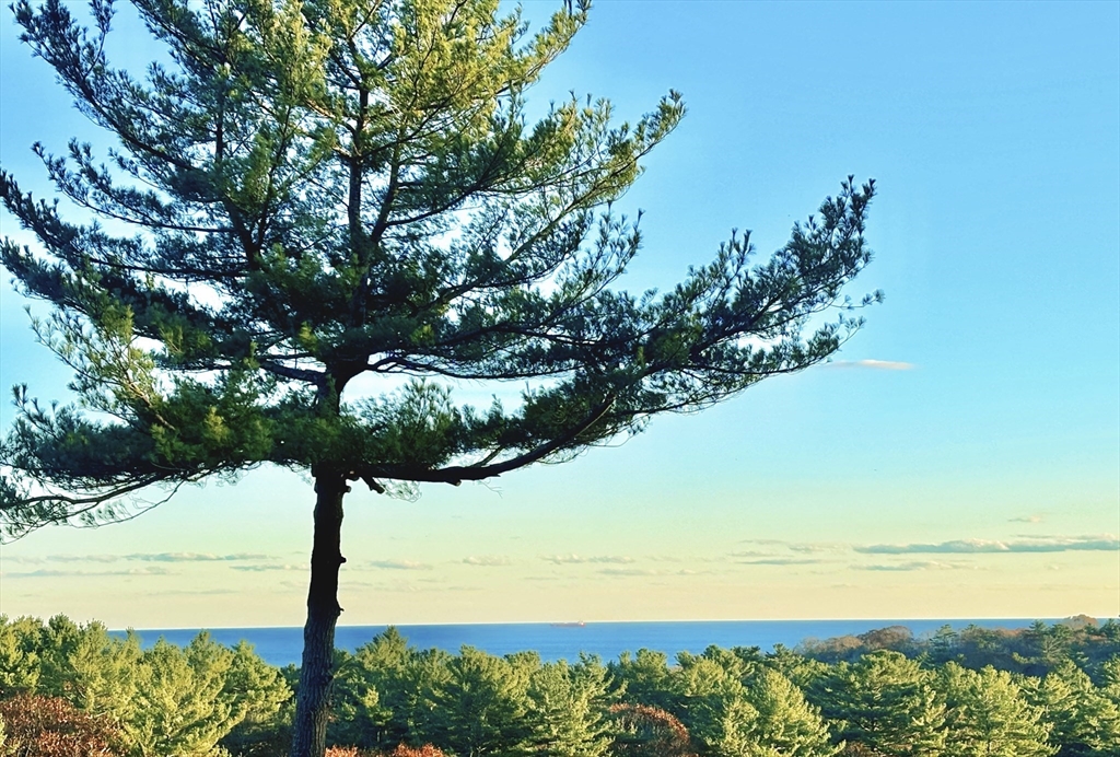 5 Kings Way Manchester, MA 01944 - Photo 6 of 39