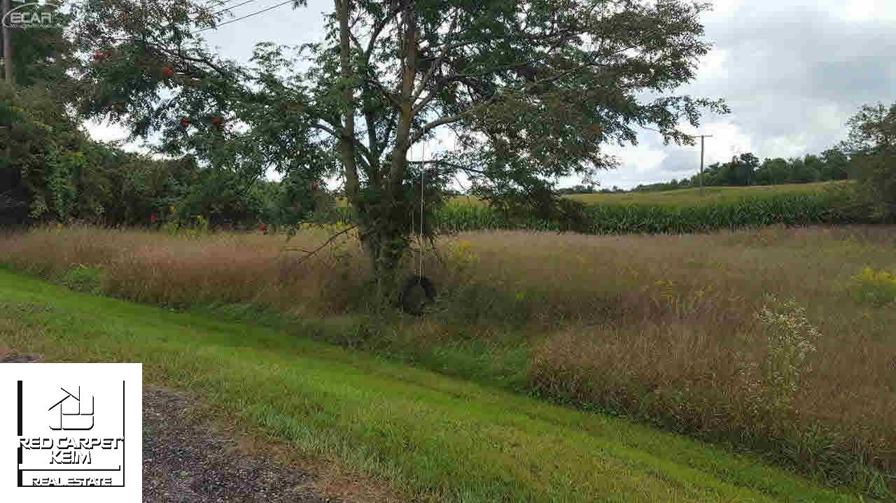 1614 North Elba Road Lapeer, MI 48446 - Photo 6 of 24 21210720-5.JPG
