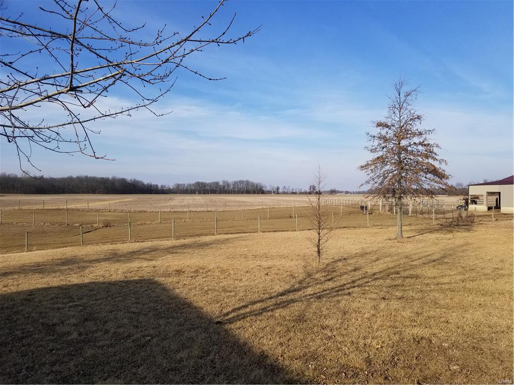 12625 Perry County Line Road Oakdale, IL 62268 - Photo 23 of 27