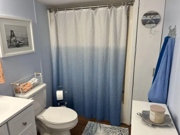 a bathroom with a toilet a sink and curtain