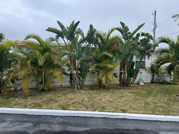 a view of a yard with potted plants