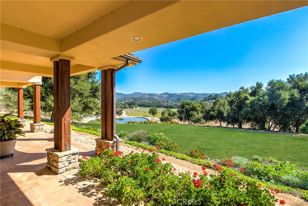 a view of a garden with a tree