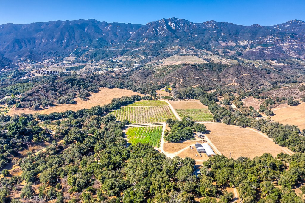 40635 De Luz Road Fallbrook, CA 92028 - Photo 11 of 75 a view of a backyard with wooden fence