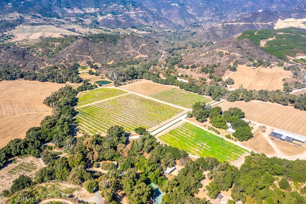40635 De Luz Road Fallbrook, CA 92028 - Photo 13 of 75 a view of a yard