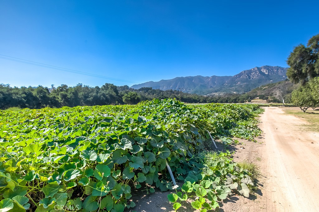 40635 De Luz Road Fallbrook, CA 92028 - Photo 6 of 75